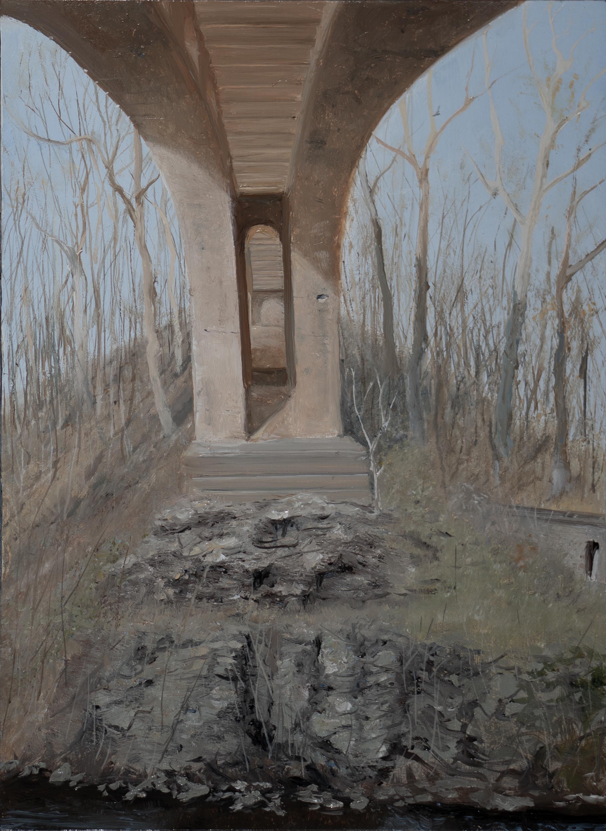 Wissahickon Beneath the Walnut Lane Bridge in Winter